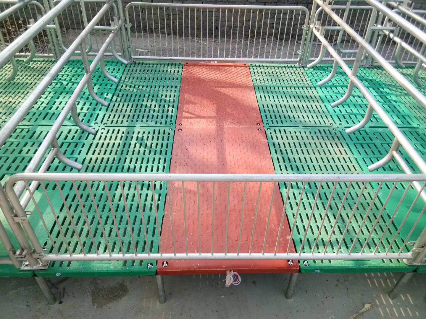不銹鋼料槽廠家母豬產床安裝